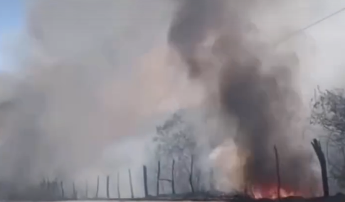 Incêndio em vegetação mobiliza Corpo de Bombeiros em Palmeira dos Índios