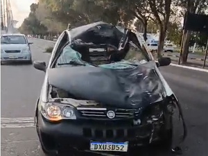 Homem fica gravemente ferido após acidente envolvendo cavalo na Cidade Universitária