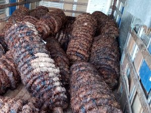 Criminosos que roubaram fumo se passaram por policiais e amarraram vítimas