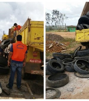 Defesa Civil recolhe pneus de borracharias para combater mosquito