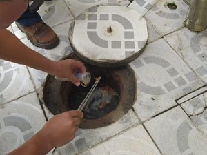 Picada de escorpião: saiba como evitar acidentes e como agir em caso de picada