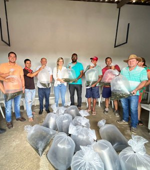 Prefeita Ceci Rocha distribui mais de 20 mil alevinos e fortalece psicultura no distrito Ouricuri