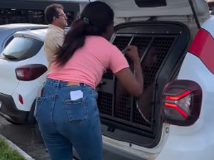 'Você não tem necessidade de fazer isso': mulher grita com preso por suspeita de roubos