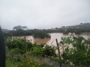 Mulheres ficam agarradas em árvore e ilhadas em Porto Calvo