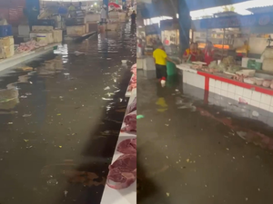 Mercado da Produção alaga; vídeo mostra corredores tomados pela água