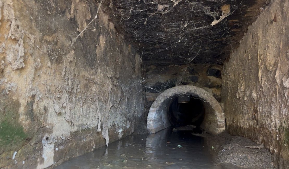 Ilha do Ferro sofre com despejo de esgoto sem tratamento no Rio São Francisco