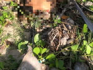 Jovem é encontrado morto com marcas de tiros no Passo de Camaragibe
