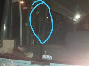 Criminosos atiram contra ônibus escolar e fazem arrastão, em Lagoa da Canoa 