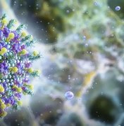 Ministério da Saúde diz que vírus Nipah não ameaça o Brasil