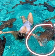 Influencer é mordida ao nadar com tubarão nas Bahamas: 'Arrancou um pedaço do meu braço'