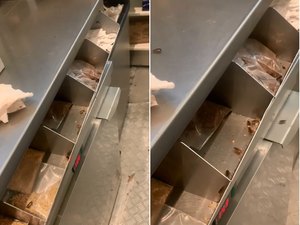 Vídeo mostra baratas dentro de quiosque de sorvetes em shopping de Teresina