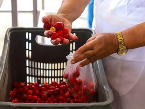 Governo de AL regulamenta Política Estadual da Agroecologia e Produção Orgânica