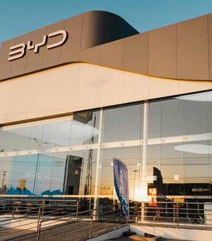 BYD Dolphin Mini lidera emplacamentos e é o carro de passeio mais vendido em AL
