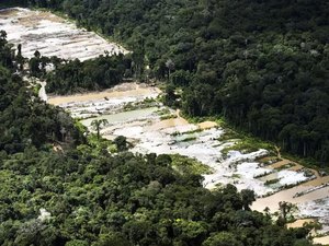 Força-tarefa destrói dez garimpos ilegais na Amazônia