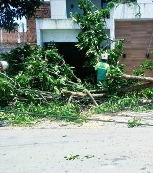 Defesa Civil de Maceió registra três ocorrências após ventos fortes no fim de semana