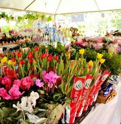 Festival das Flores de Holambra chega a Maceió nesta quinta-feira (27)