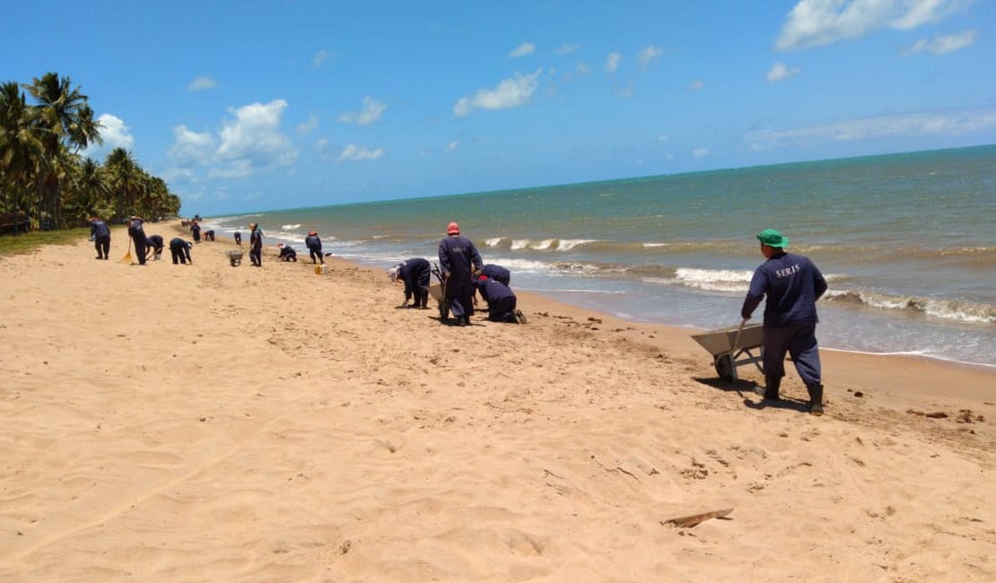 Petróleo: grupo de voluntários faz limpeza nas praias e rios de Maragogi
