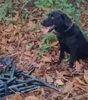 Polícia Militar apreende 10 armas artesanais enterradas em área de mata no Pontal da Barra