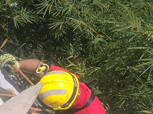 Gatinho é resgatado em barreiro no bairro do Jacintinho