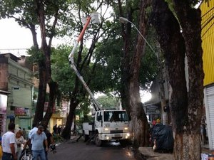 Árvore que tombou no Centro de Maceió pernamece 'escorada' em fachada de loja