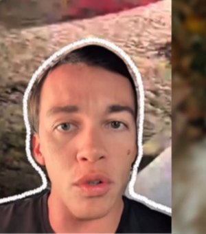 Deputado Delegado Leonan cobra punição a criminosos que atiraram em gatos no município de Arapiraca
