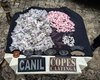 Canil do 3°BPM apreende drogas no bairro Canafístula durante operação de instrução para o Copes/Caatinga