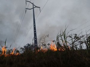 Número de focos de queimada em Alagoas este ano já ultrapassam os de 2020