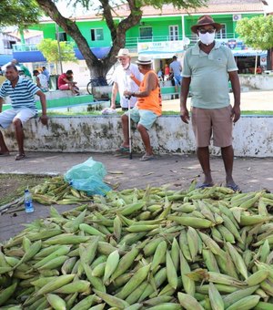 Venda de milho deixa vendedores otimistas em Maragogi