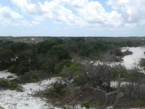 MPF denuncia responsáveis por extração ilegal de areia em área protegida em Marechal Deodoro
