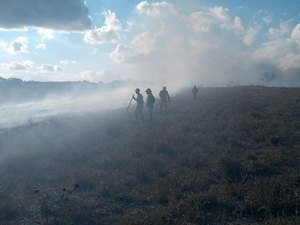 Bombeiros são acionados para controlar fogo em vegetação na cidade de Arapiraca