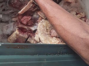 Vigilância Sanitária apreende 60 kg de carnes estragadas na Ponta Grossa