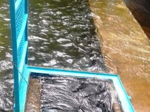 Técnico de companhia de saneamento morre afogado após ser sugado por tubulação