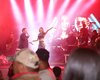 Festejos juninos agitam o fim de semana em mais uma noite de festa em Lagoa da Canoa