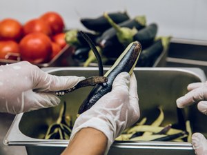 Metade dos municípios de AL não possui estrutura para política de segurança alimentar, revela IBGE