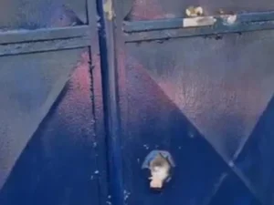 Sinteal repudia ataque a tiros contra escola indígena em Palmeira dos Índios