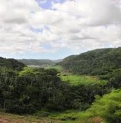 Pesquisa aponta área de desmatamento em Alagoas 