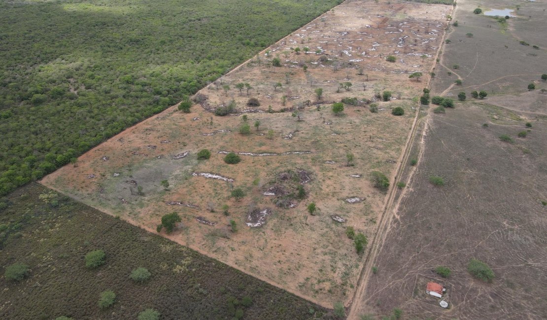 MPAL firma acordos para recuperar áreas degradadas da Caatinga em Traipu e garantir R$ 210 mil em indenizações