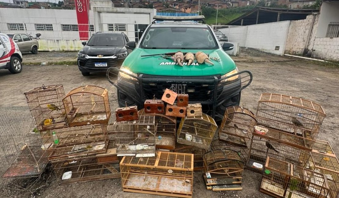 Polícia Militar de Alagoas apreende armas, resgata passaros e tatus em operação
