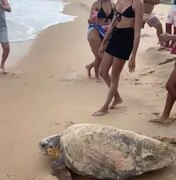 [Vídeo] Tartaruga é vista na areia por banhistas na praia de Lagoa do Pau, em Coruripe