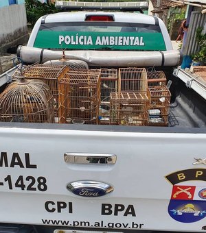BPA realiza operação de combate ao tráfico, venda e cativeiro de animais silvestres