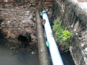 Réptil é resgatado por militares dentro de córrego em Maceió