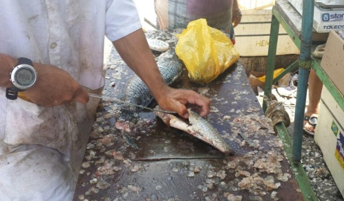 Ladrões roubam dinheiro de vendedoras de peixe em Arapiraca