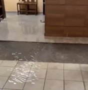 [Vídeo] Casa de radialista fica alagada após fortes chuvas em Arapiraca