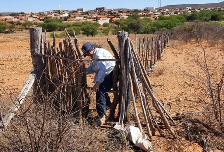 Demissões de não contratados nas prefeituras entristecem o fim de ano no Sertão