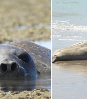 Morte de Leôncio pode gerar pena de apenas um ano e investigação não começou