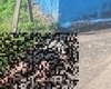 Homem é encontrado morto no bairro Ouro Preto