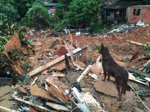 Temporal causa 10 mortes na Baixada Santista
