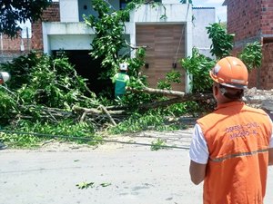 Defesa Civil de Maceió registra três ocorrências após ventos fortes no fim de semana