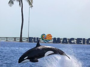 Chuvas em Maceió geram meme na internet