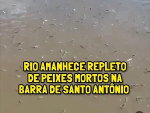 Centenas de peixes são encontrados mortos na Barra de Santo Antônio